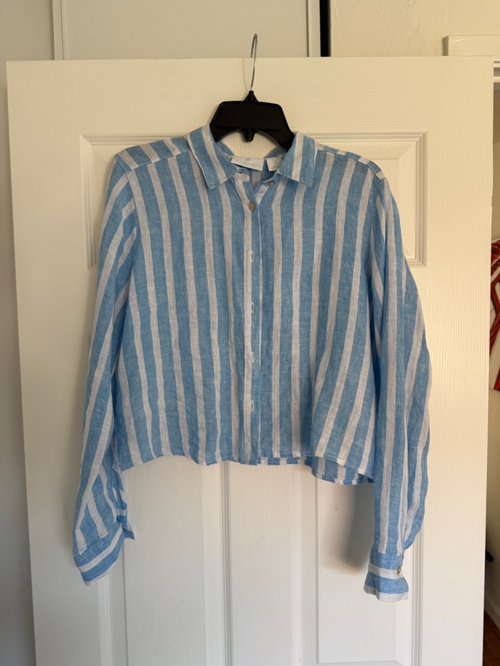 Cynthia Rowley Blue and White Striped Button-Down Shirt